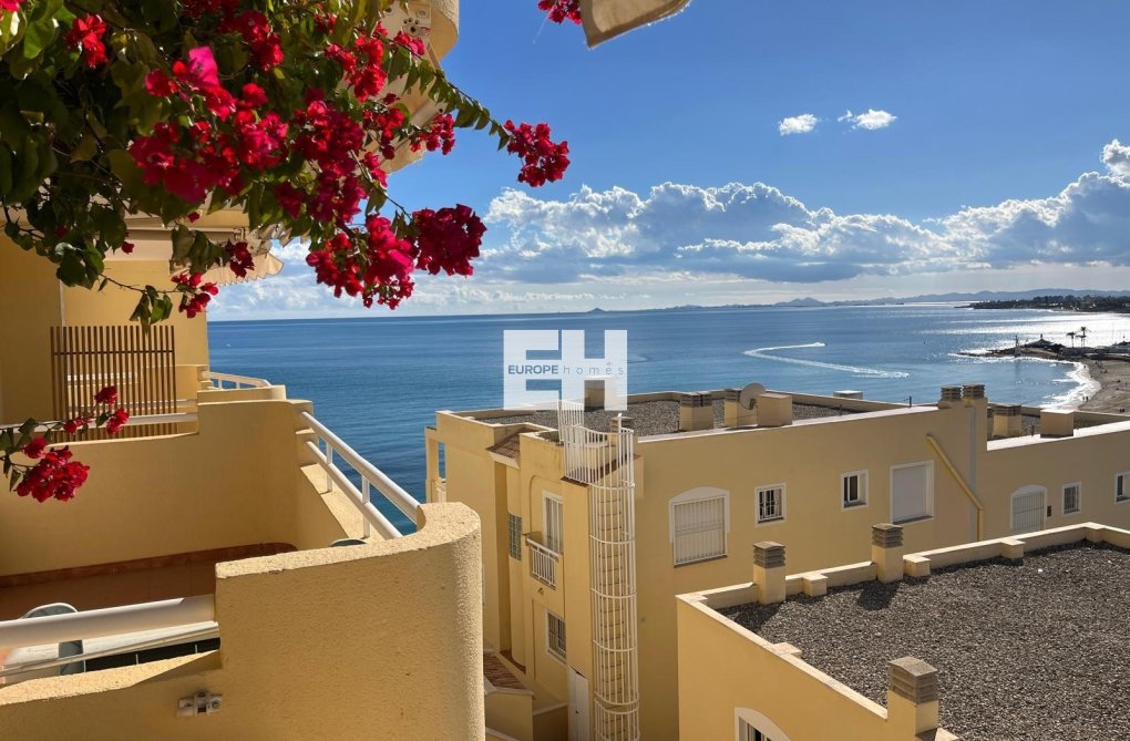 Segunda mano - Apartamento  - Orihuela Costa - Campoamor