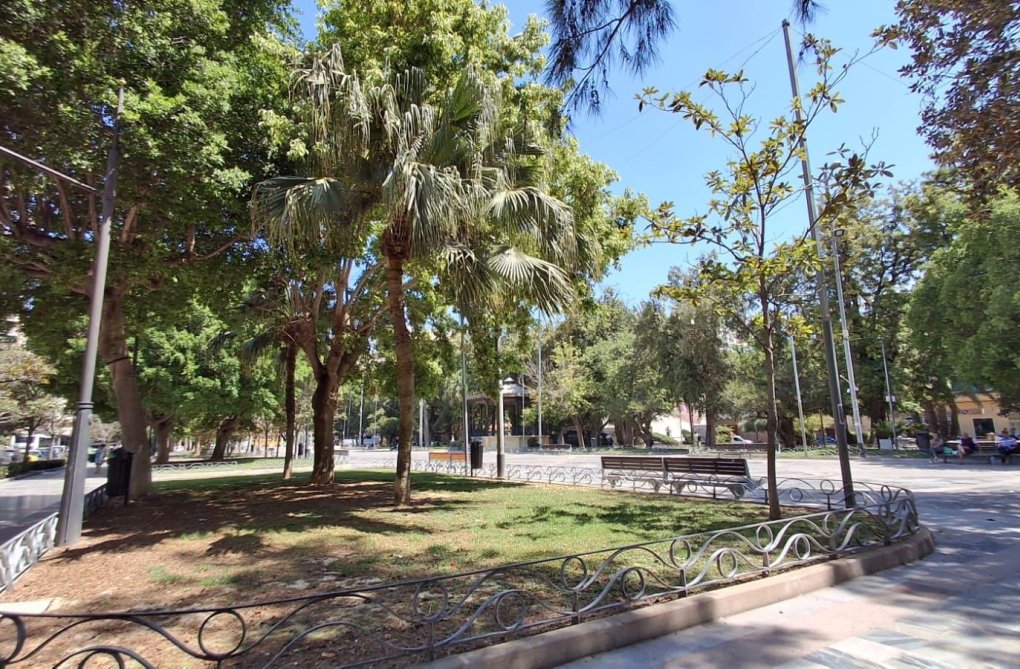 Segunda mano - Apartamento  - Orihuela - Zona Centro