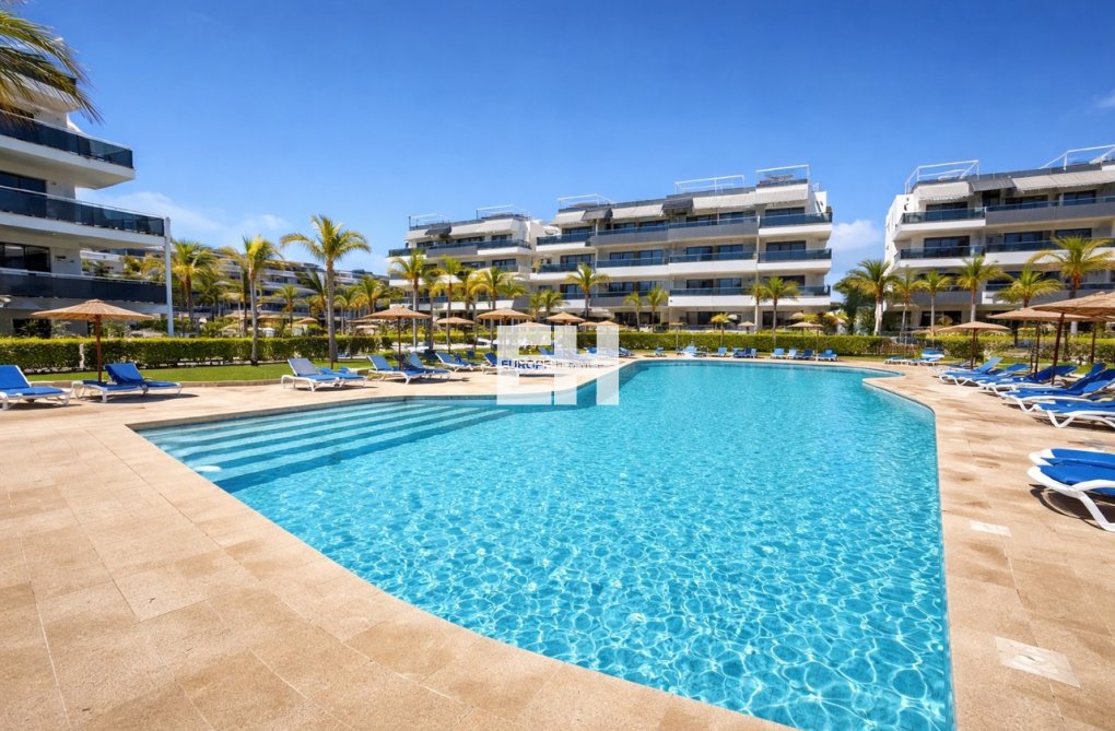 Segunda mano - Apartamento  - Playa Flamenca - Costa Blanca