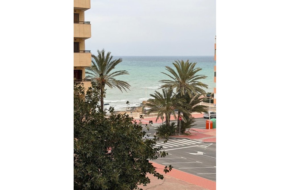 Segunda mano - Apartamento  - Torrevieja - Cabo Cervera