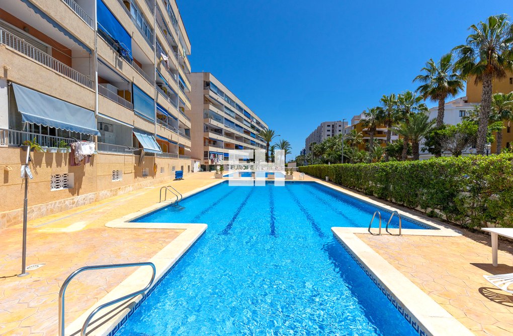 Segunda mano - Apartamento  - Torrevieja - Costa Blanca