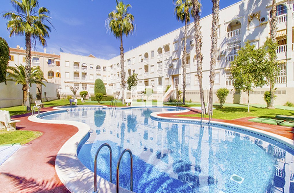 Segunda mano - Apartamento  - Torrevieja - Costa Blanca