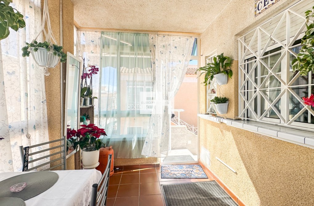 Segunda mano - Apartamento  - Torrevieja - Costa Blanca