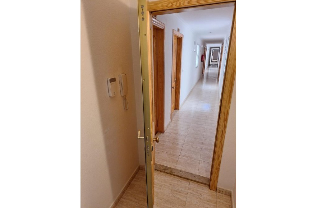 Segunda mano - Apartamento  - Torrevieja - Estacion De Autobuses