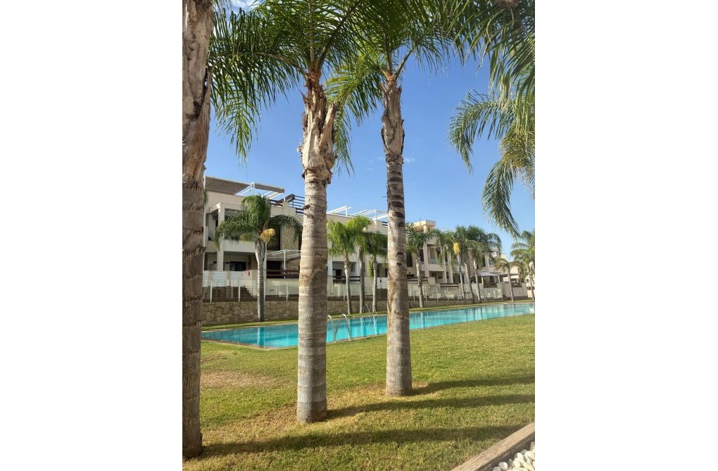 Segunda mano - Apartamento  - Torrevieja - Los Balcones 