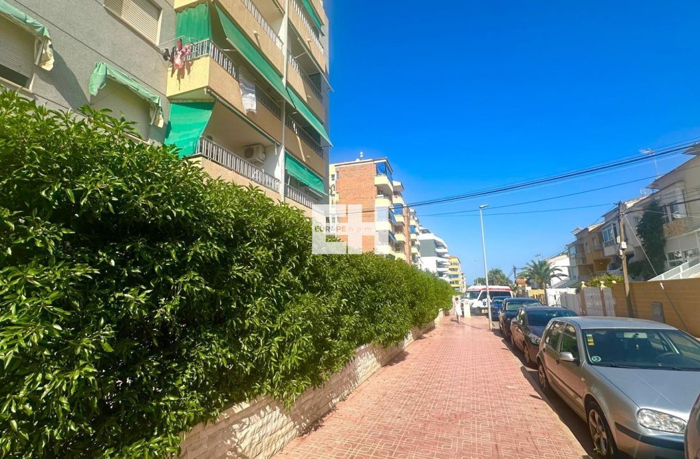 Segunda mano - Apartamento  - Torrevieja - Punta Prima