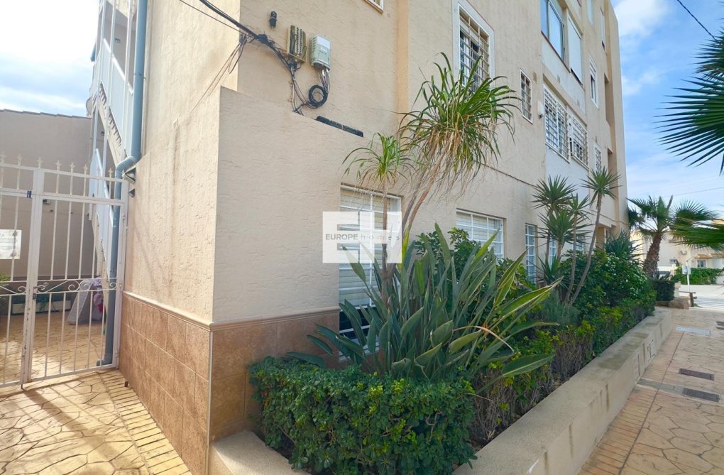 Segunda mano - Apartamento  - Torrevieja - Zona Los Frutales