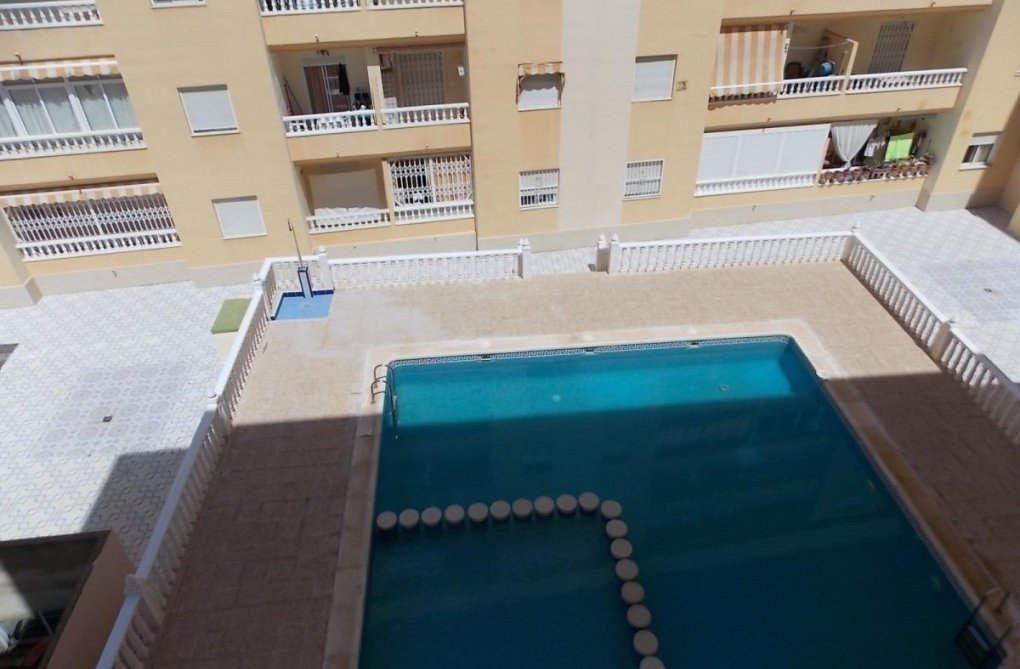 Segunda mano - Apartamento  - Torrevieja