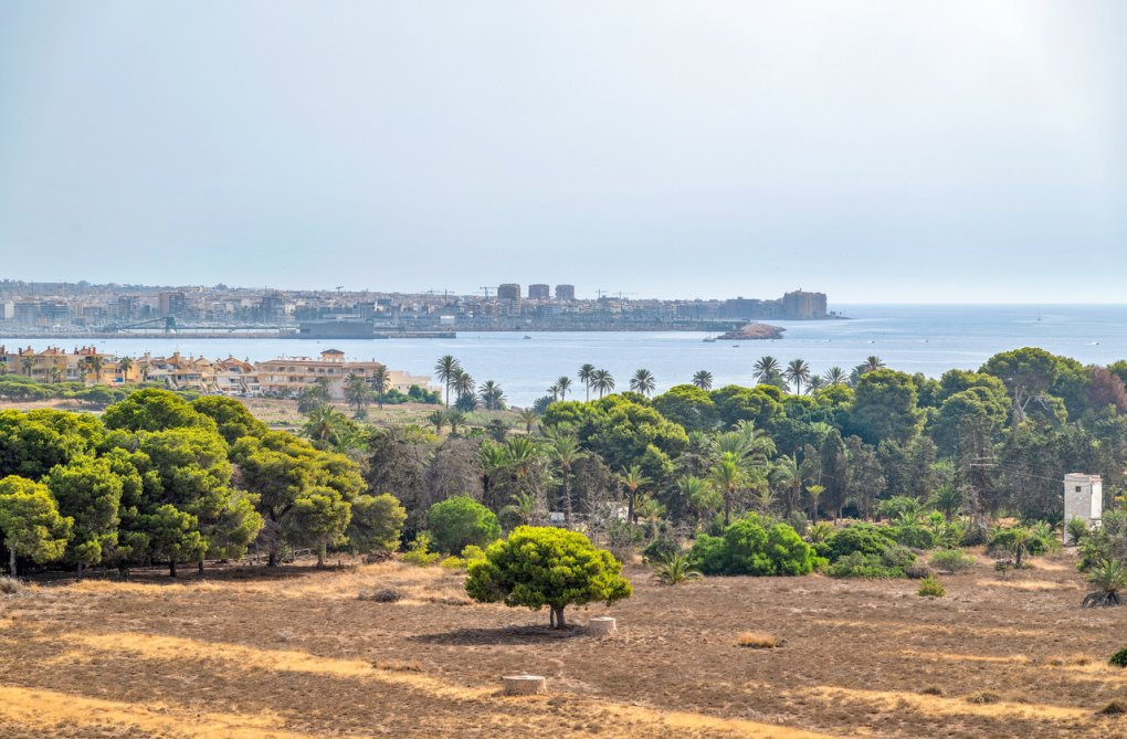 Segunda mano - Atico - Punta Prima - Costa Blanca