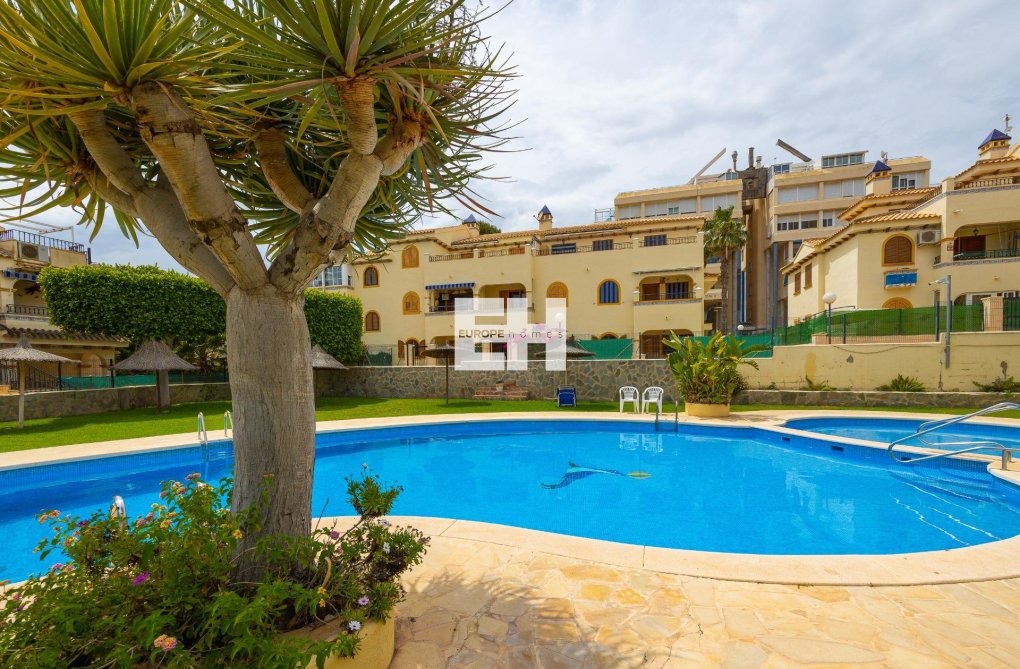 Segunda mano - Bungalow - Torrevieja - Torre La Mata