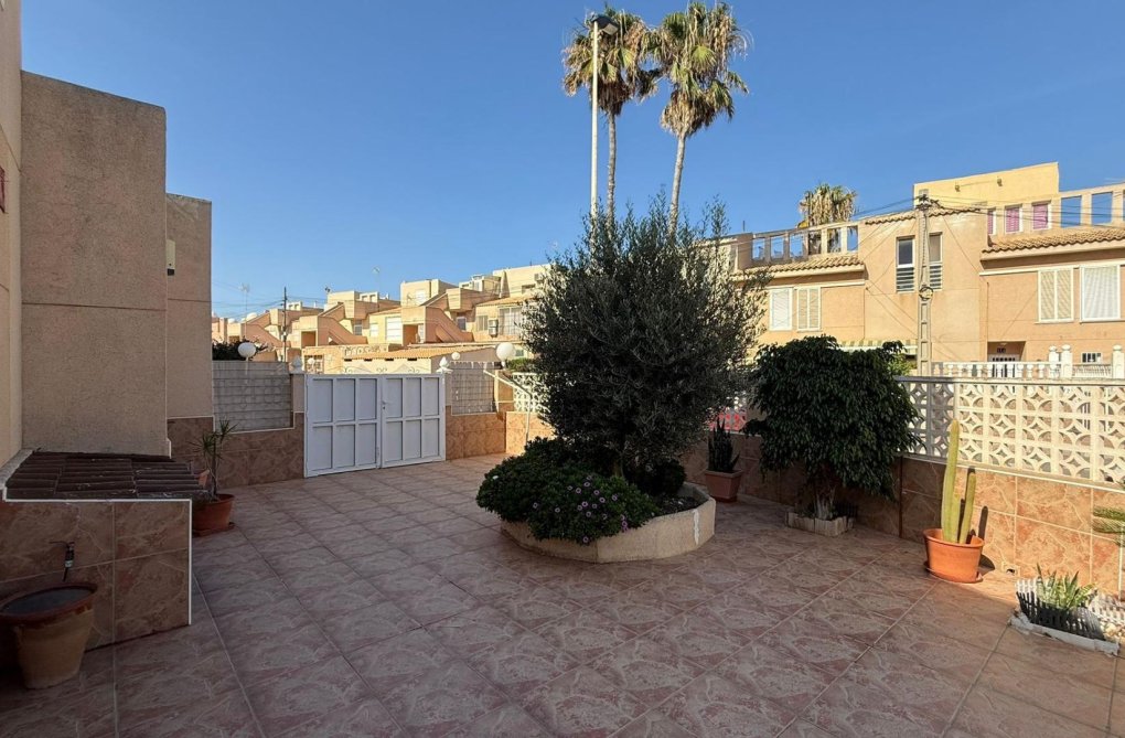 Segunda mano - Duplex - Torrevieja - Los Frutales