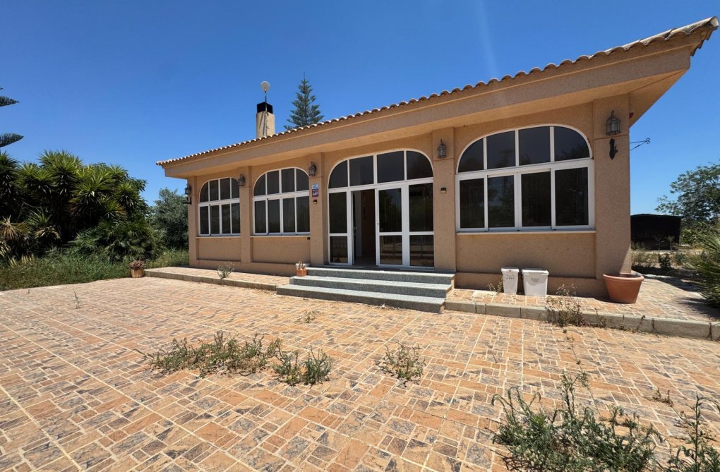 Segunda mano - Finca - Dolores - Comunidad Valenciana