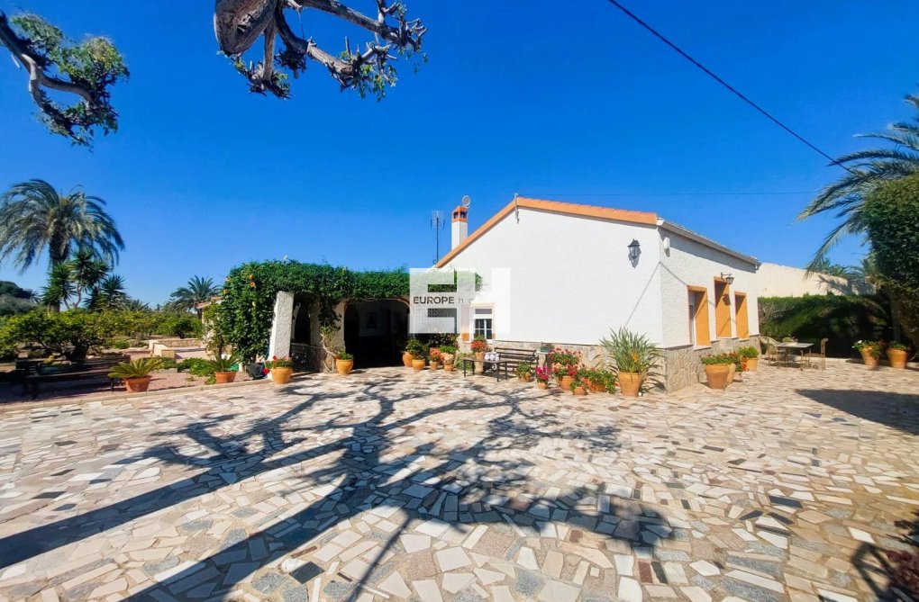 Segunda mano - Finca - La Marina - Costa Blanca
