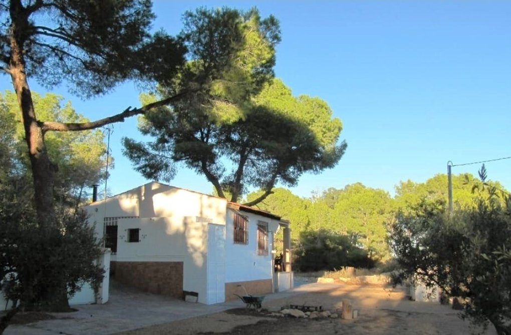 Segunda mano - Finca - Murcia - Inland