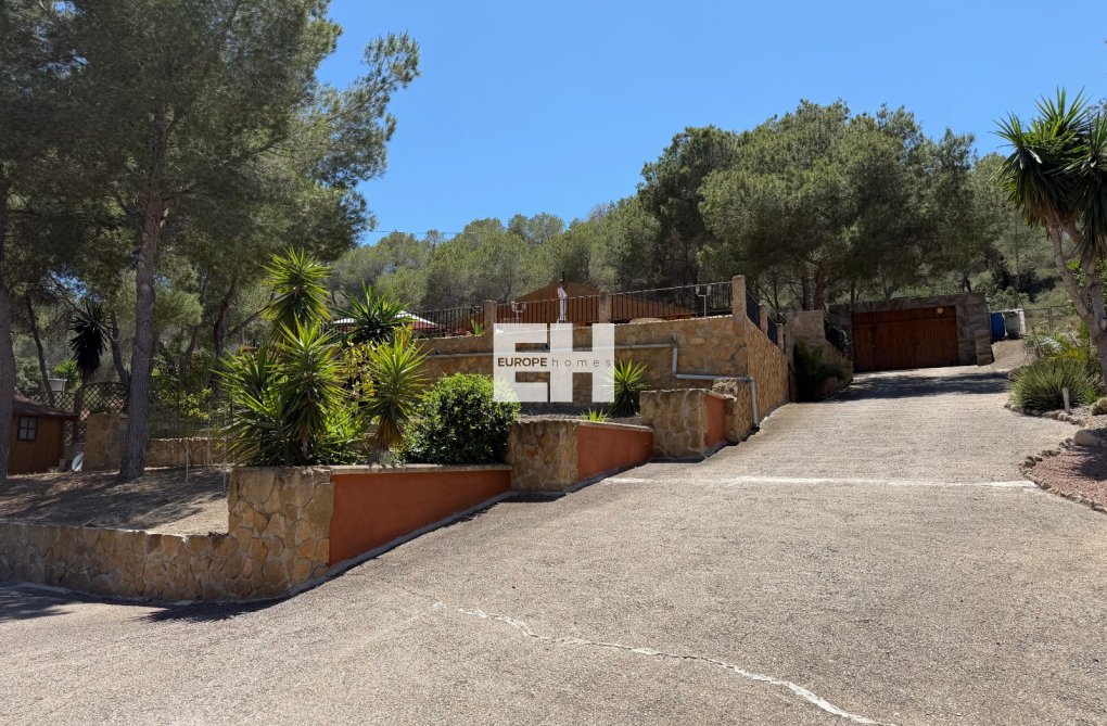 Segunda mano - Finca - Orihuela - Inland