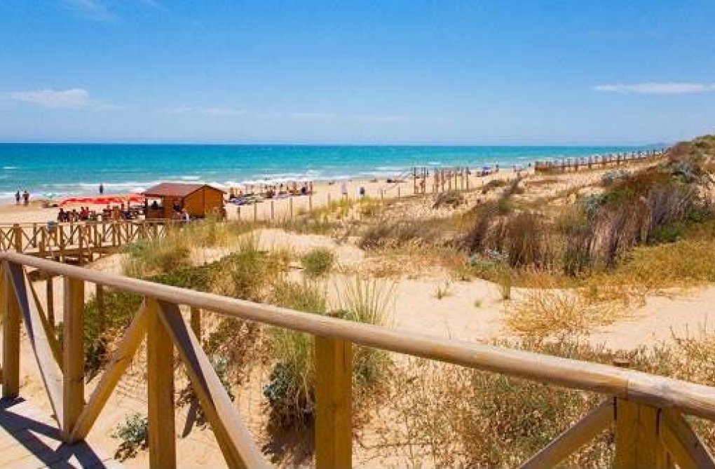 Segunda mano - Penthouse Penthouse - Guardamar del Segura - Costa Blanca