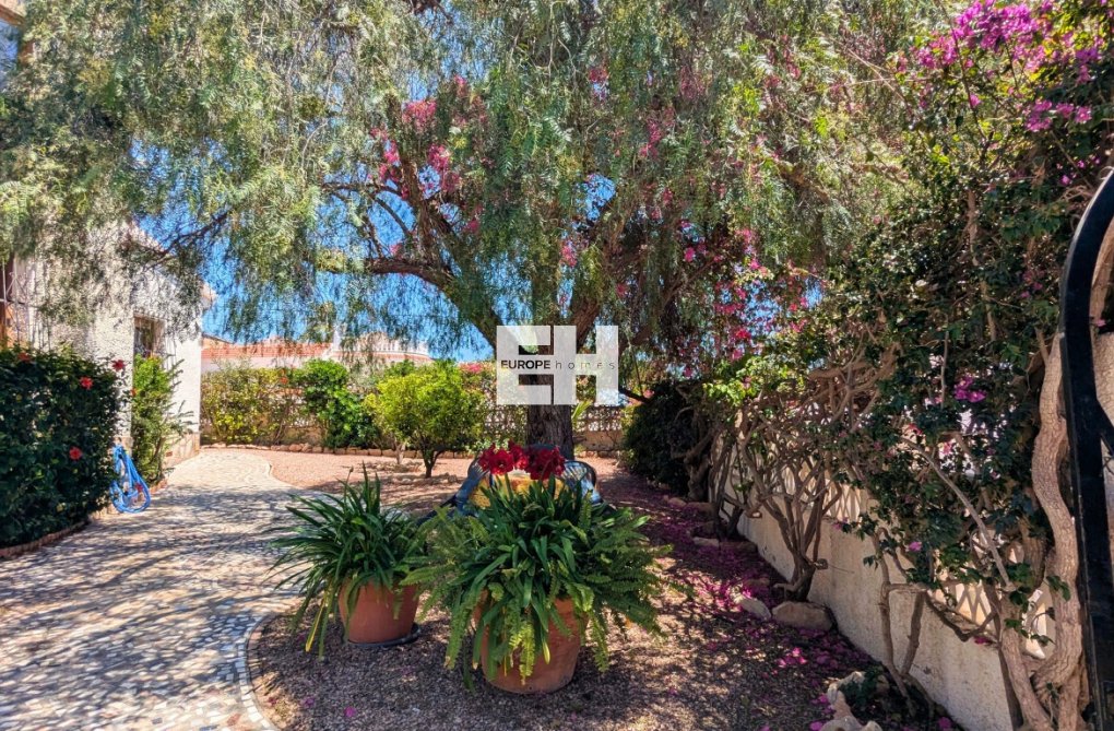 Segunda mano - villa - Ciudad Quesada - Costa Blanca