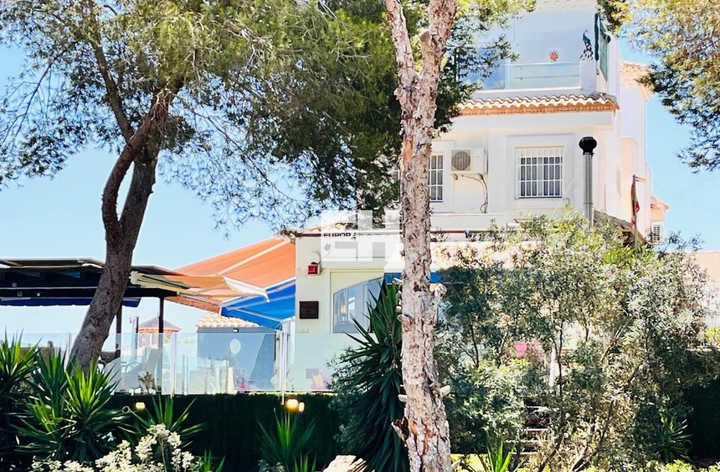 Segunda mano - villa - Orihuela Costa - Costa Blanca