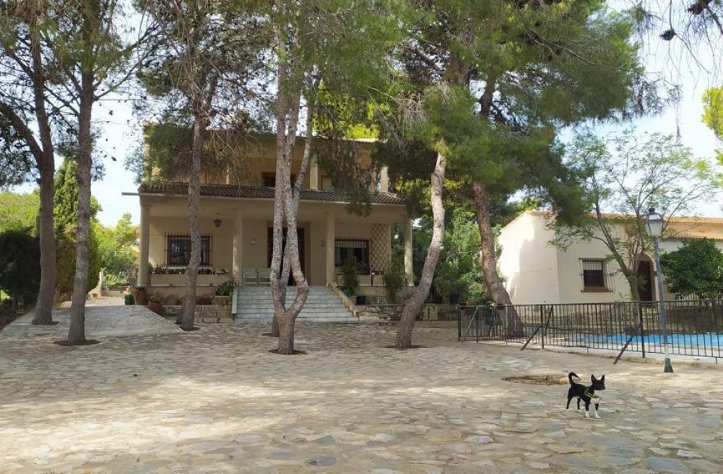 Segunda mano - villa - Torrevieja - Los Balcones 