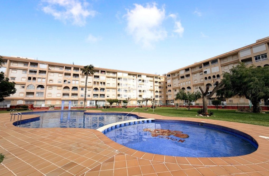 Wiederverkauf - Penthaus - Torrevieja - Costa Blanca