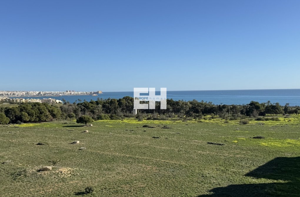 Wiederverkauf - Penthouse Penthouse - Punta Prima - Costa Blanca