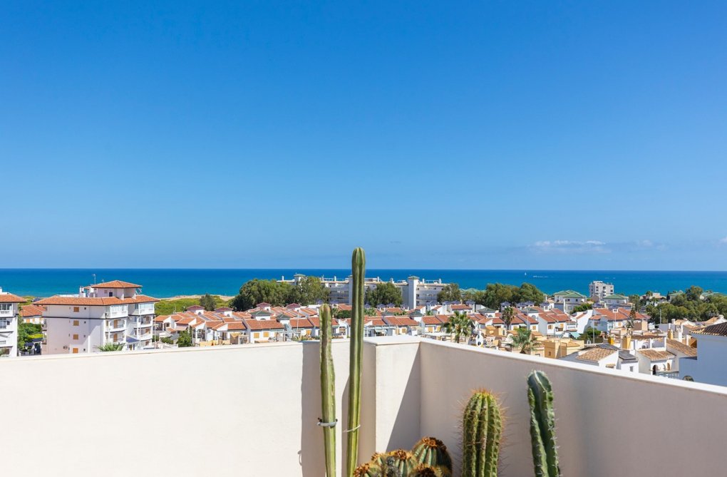 Wiederverkauf - Wohnung - La Mata - Costa Blanca