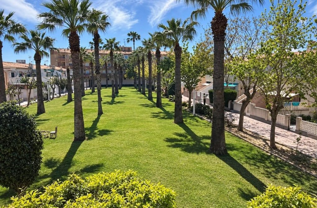Wiederverkauf - Wohnung - Orihuela Costa - La Regia
