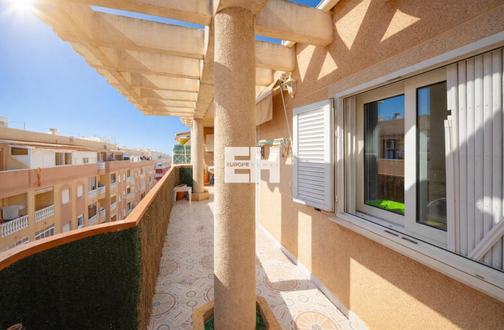 Wiederverkauf - Wohnung - Torrevieja - Costa Blanca