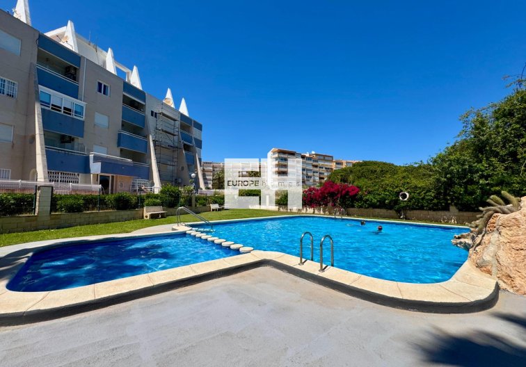 Wohnung - Wiederverkauf - Torrevieja - Gaspar Perrelló