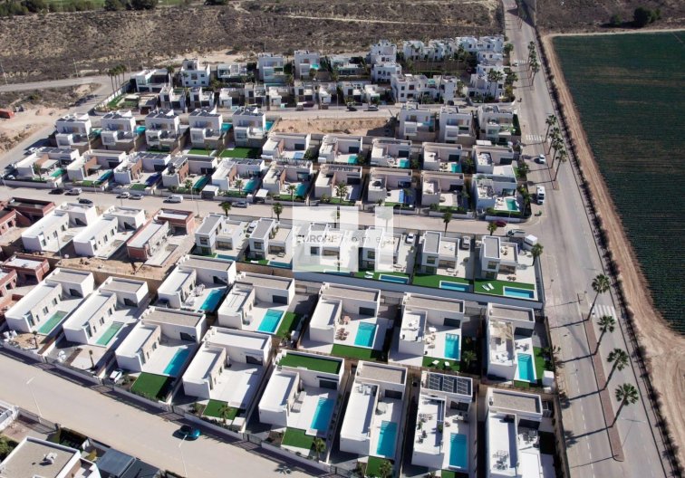 Construction Neuve - villa - Algorfa - La Finca Golf