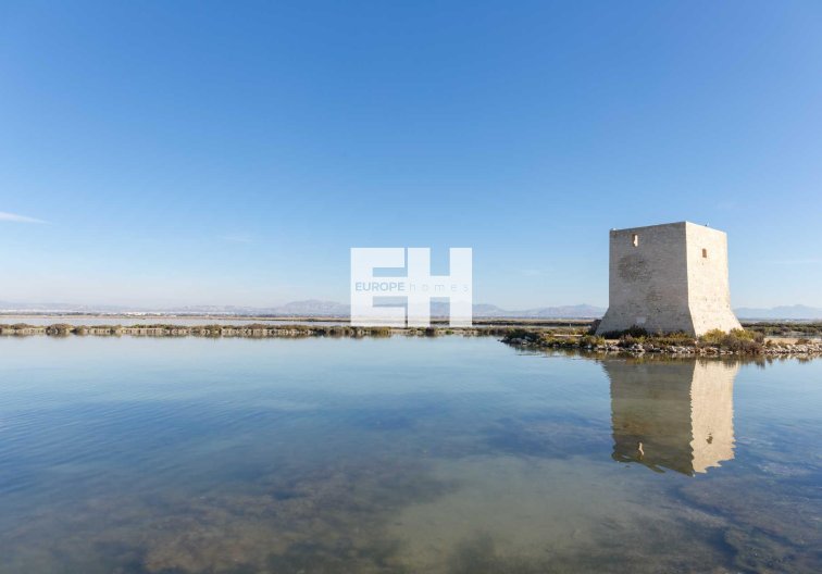 Obra Nueva - Apartamento  - Santa Pola - Estacion de autobuses