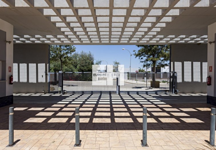 Neubau - Ground floor apartment - Vera - El Playazo