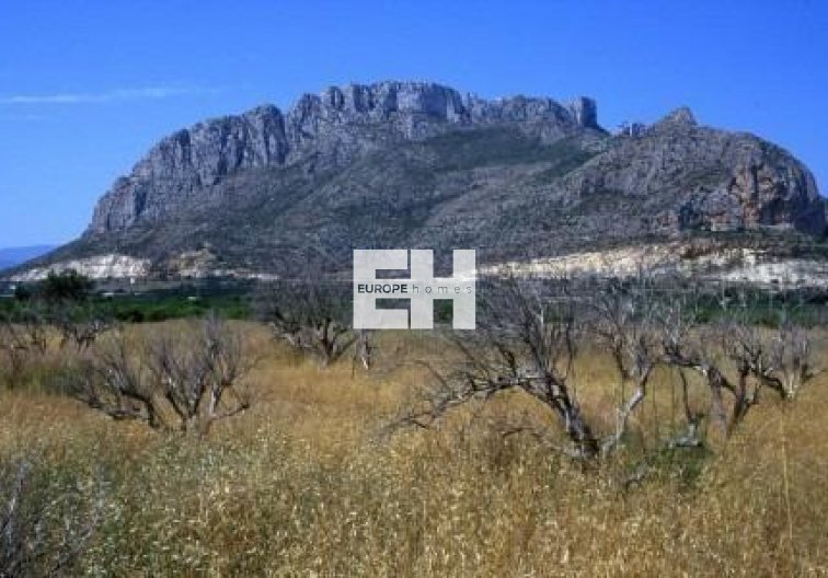 Construction Neuve - town house - El Verger - Playa de La Almadraba