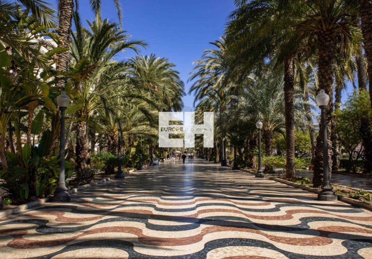 Construction Neuve - Ground floor apartment - Alicante - Centro