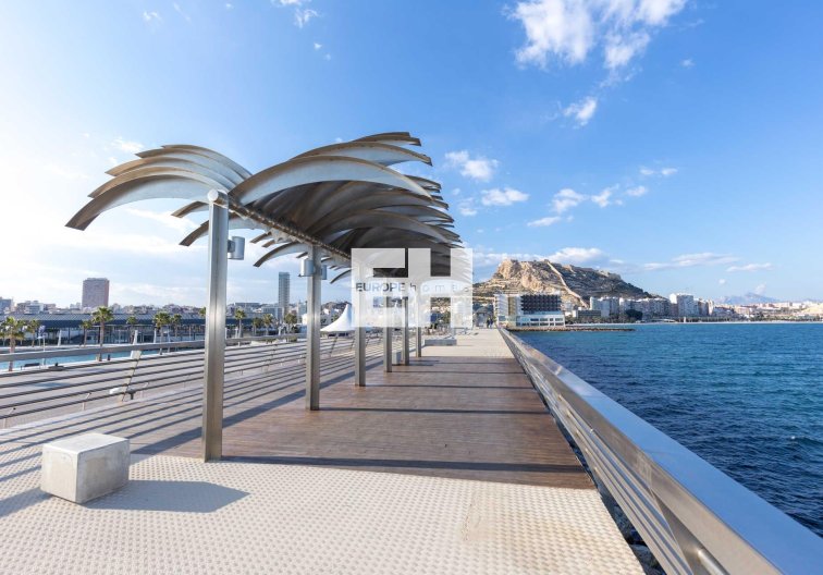 Obra Nueva - Atico - Alicante - Centro