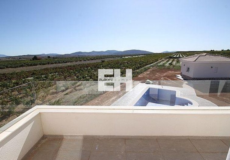 Obra Nueva - villa - Pinoso - Camino Del Prado