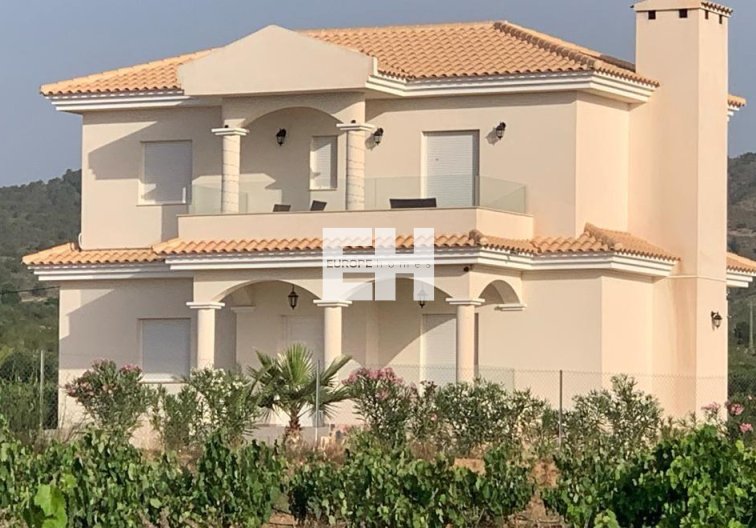 Obra Nueva - villa - Pinoso - Camino Del Prado