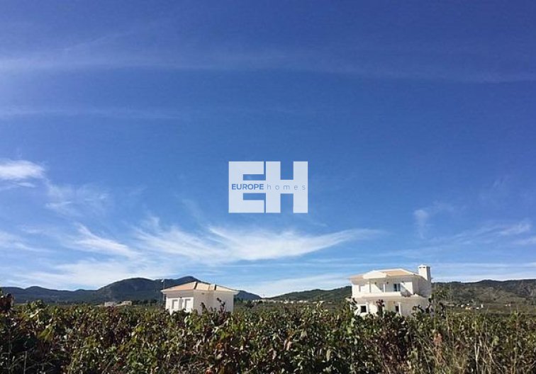 Obra Nueva - villa - Pinoso - Camino Del Prado