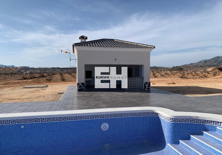 Obra Nueva - villa - Pinoso - Camino Del Prado