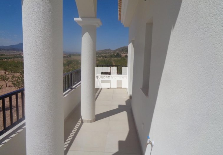 Obra Nueva - villa - Pinoso - Camino Del Prado