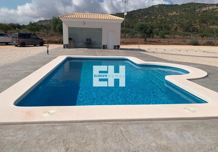 Obra Nueva - villa - Pinoso - Camino Del Prado