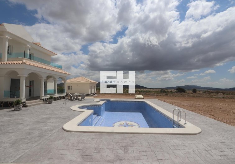 Obra Nueva - villa - Pinoso - Camino Del Prado