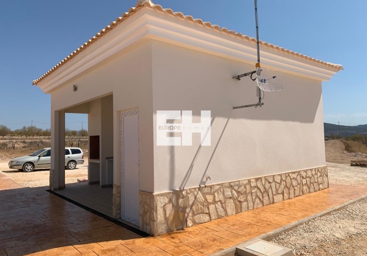 Obra Nueva - villa - Pinoso - Camino Del Prado