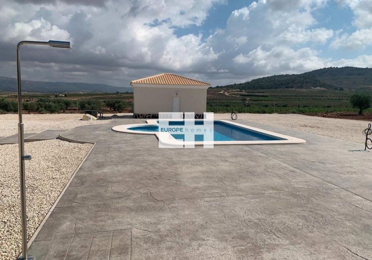 Obra Nueva - villa - Pinoso - Camino Del Prado