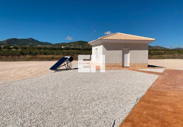 Obra Nueva - villa - Pinoso - Camino Del Prado