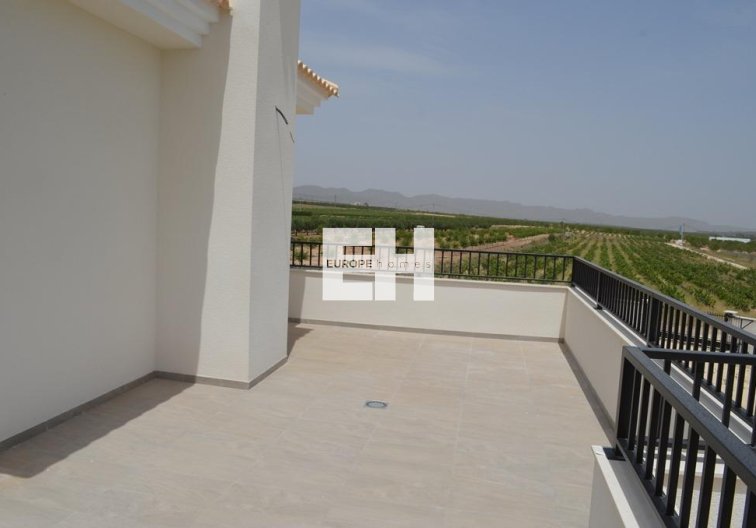 Obra Nueva - villa - Pinoso - Camino Del Prado