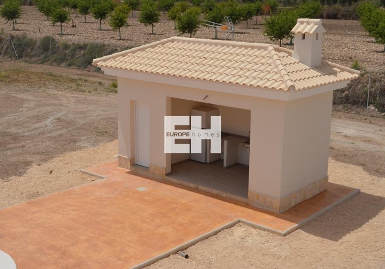 Obra Nueva - villa - Pinoso - Camino Del Prado