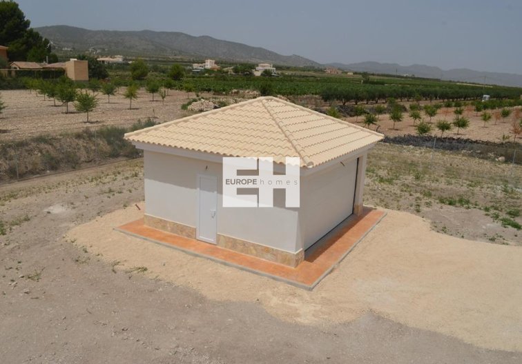 Obra Nueva - villa - Pinoso - Camino Del Prado