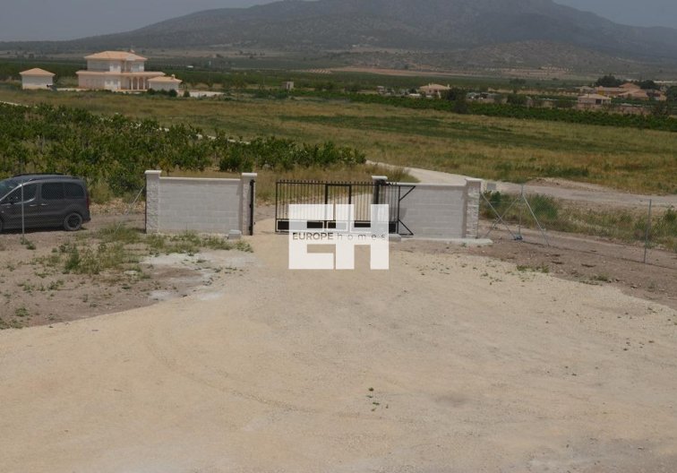 Obra Nueva - villa - Pinoso - Camino Del Prado