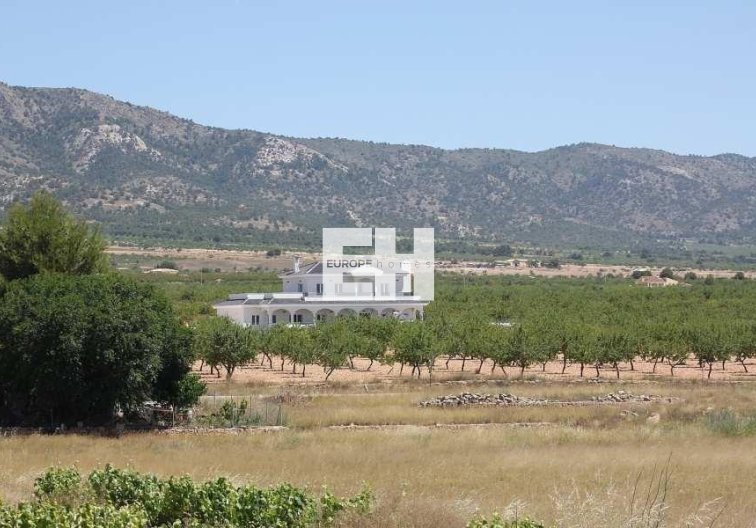 Obra Nueva - villa - Pinoso - Camino Del Prado